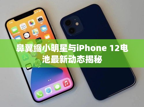 鼻翼缩小明星与iPhone 12电池最新动态揭秘
