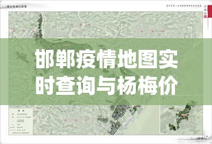邯郸疫情地图实时查询与杨梅价格观察，疫情下的生活百态