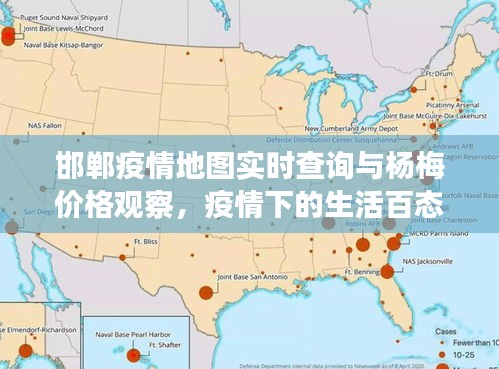 邯郸疫情地图实时查询与杨梅价格观察,疫情下的生活百态
