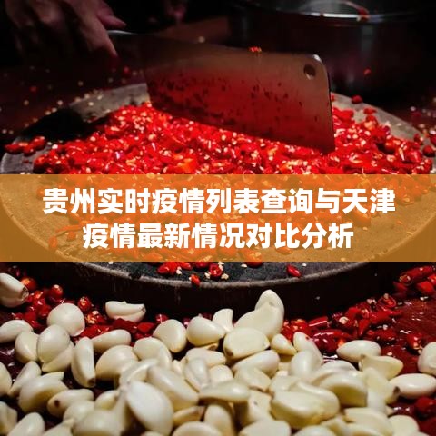 贵州实时疫情列表查询与天津疫情最新情况对比分析