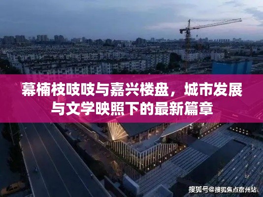 幕楠枝吱吱与嘉兴楼盘，城市发展与文学映照下的最新篇章