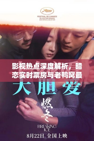 影视热点深度解析，暗恋实时票房与老鸭窝最新地址揭秘