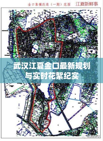 武汉江夏金口最新规划与实时花絮纪实
