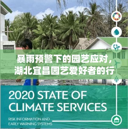 暴雨预警下的园艺应对，湖北宜昌园艺爱好者的行动指南