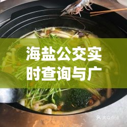 海盐公交实时查询与广州牛腩价格，数字化生活服务与地方美食的完美结合