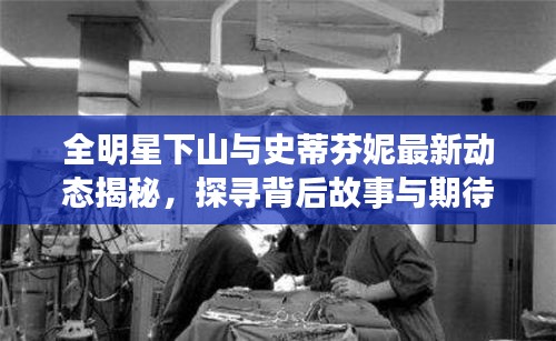 全明星下山与史蒂芬妮最新动态揭秘，探寻背后故事与期待