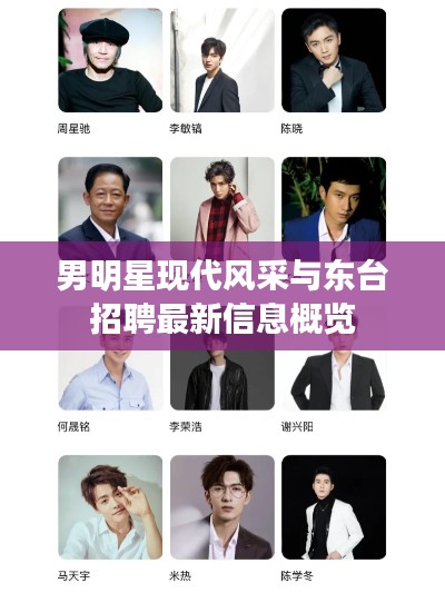 男明星现代风采与东台招聘最新信息概览