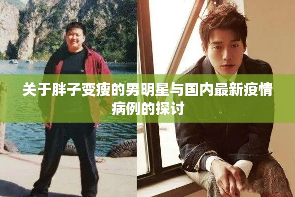 关于胖子变瘦的男明星与国内最新疫情病例的探讨