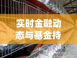实时金融动态与基金持仓分析，市场动态与獭兔价格行情综述
