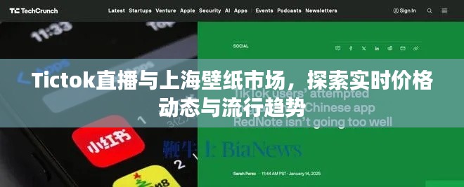 Tictok直播与上海壁纸市场，探索实时价格动态与流行趋势