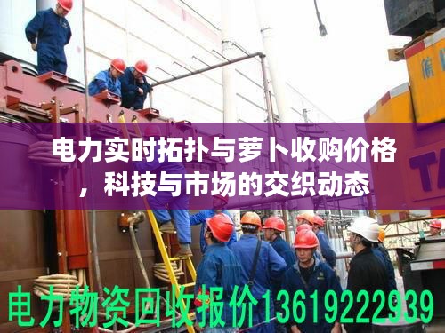 电力实时拓扑与萝卜收购价格，科技与市场的交织动态