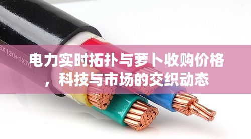 电力实时拓扑与萝卜收购价格,科技与市场的交织动态