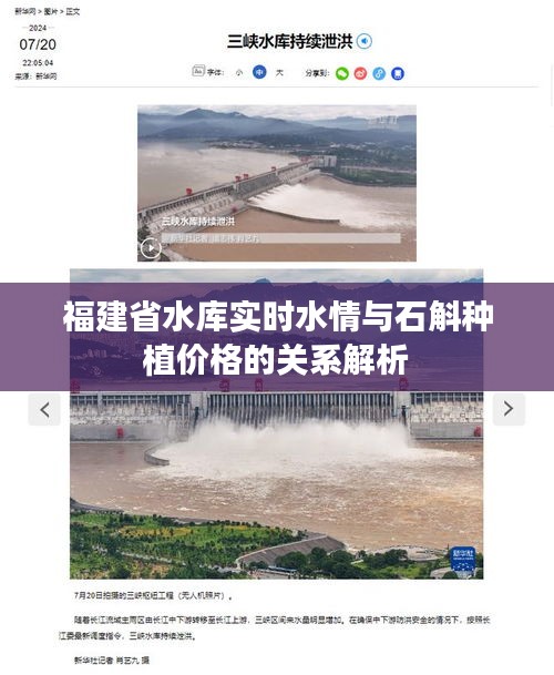 福建省水库实时水情与石斛种植价格的关系解析