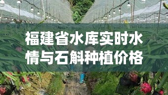 福建省水库实时水情与石斛种植价格的关系解析