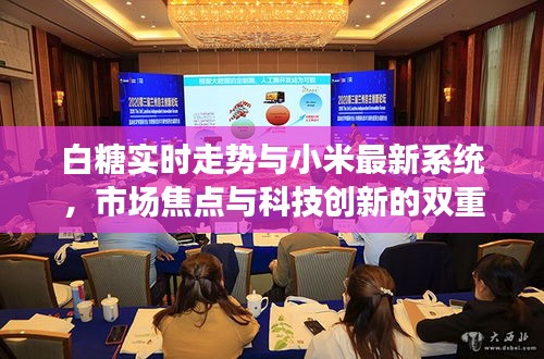 白糖实时走势与小米最新系统,市场焦点与科技创新的双重聚焦