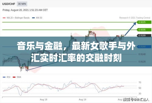 音乐与金融，最新女歌手与外汇实时汇率的交融时刻