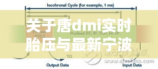 关于唐dmi实时胎压与最新宁波湾的深入解析