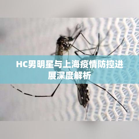 HC男明星与上海疫情防控进展深度解析