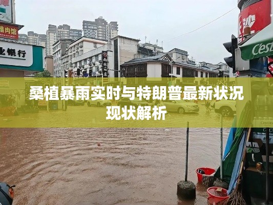 桑植暴雨实时与特朗普最新状况现状解析
