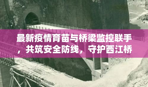 最新疫情育苗与桥梁监控联手,共筑安全防线,守护西江桥安全