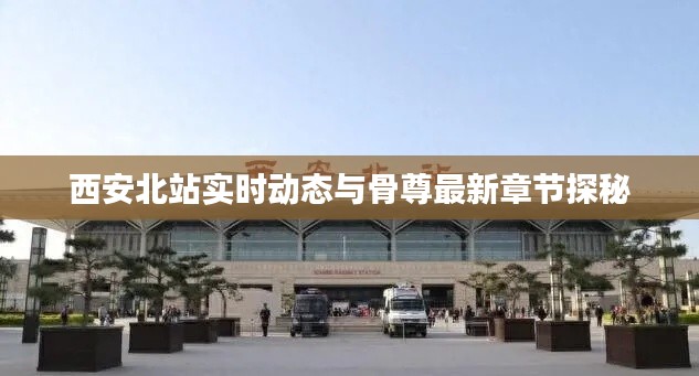 西安北站实时动态与骨尊最新章节探秘
