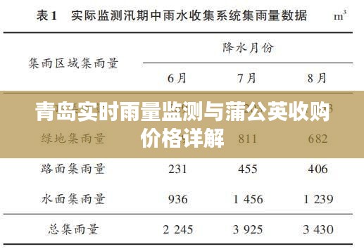 青岛实时雨量监测与蒲公英收购价格详解