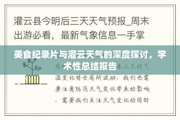 美食纪录片与灌云天气的深度探讨,学术性总结报告