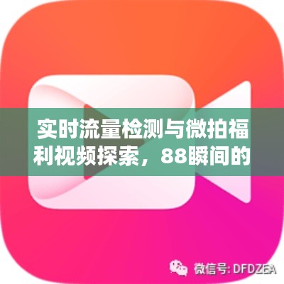 实时流量检测与微拍福利视频探索,88瞬间的魅力