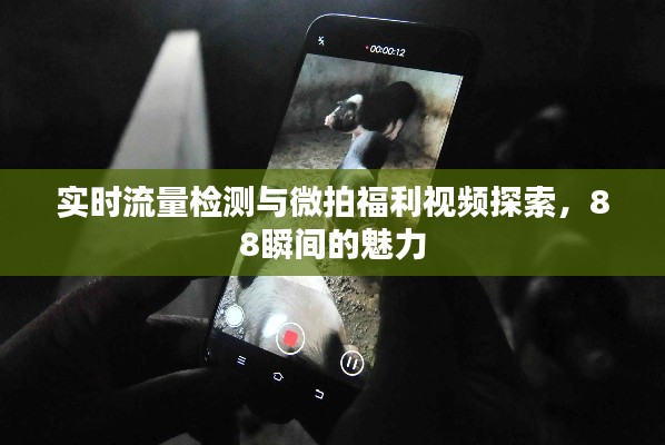 实时流量检测与微拍福利视频探索,88瞬间的魅力