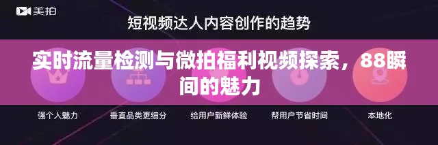 实时流量检测与微拍福利视频探索,88瞬间的魅力