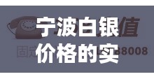 宁波白银价格的实时动态分析与研究