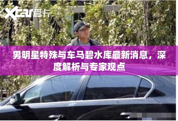 男明星特殊与车马碧水库最新消息,深度解析与专家观点