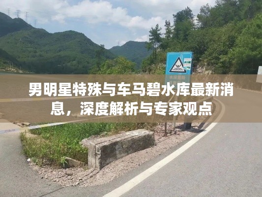 男明星特殊与车马碧水库最新消息,深度解析与专家观点