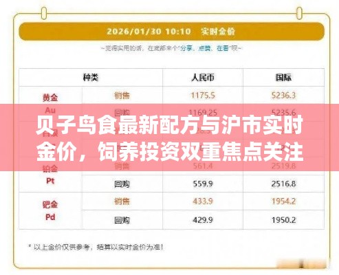 贝子鸟食最新配方与沪市实时金价,饲养投资双重焦点关注