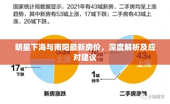 明星下海与南阳最新房价,深度解析及应对建议