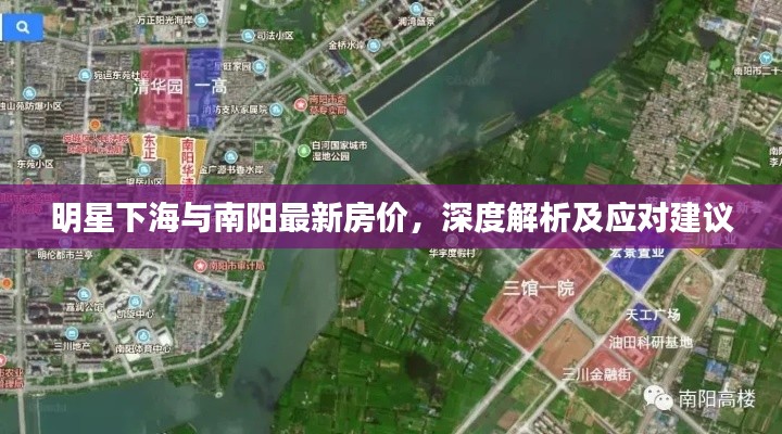 明星下海与南阳最新房价,深度解析及应对建议