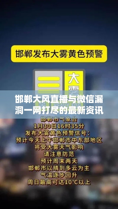 邯郸大风直播与微信漏洞一网打尽的最新资讯