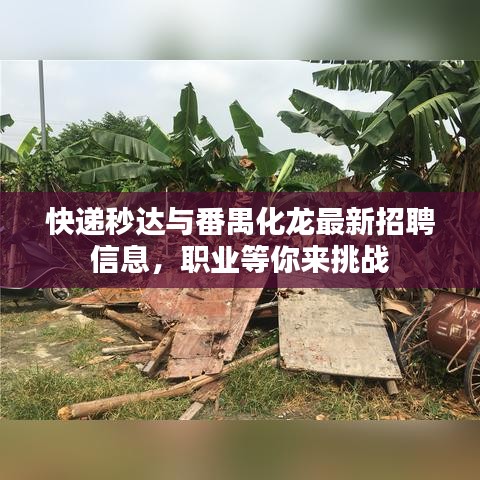 快递秒达与番禺化龙最新招聘信息,职业等你来挑战