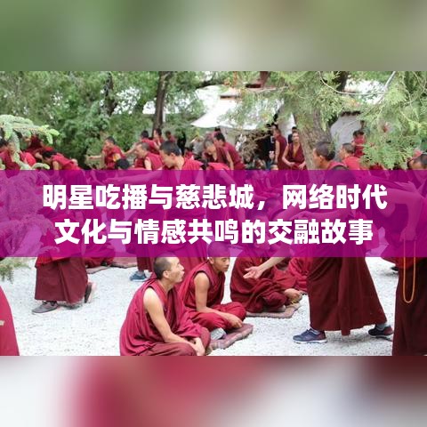 明星吃播与慈悲城,网络时代文化与情感共鸣的交融故事
