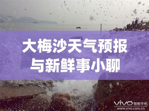大梅沙天气预报与新鲜事小聊
