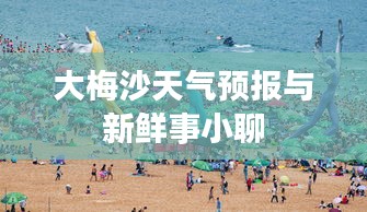 大梅沙天气预报与新鲜事小聊