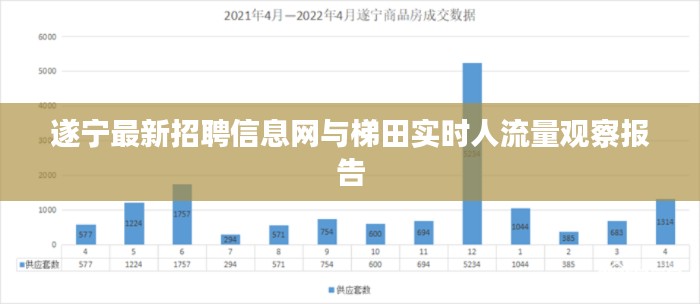 遂宁最新招聘信息网与梯田实时人流量观察报告