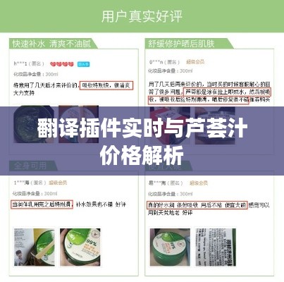 翻译插件实时与芦荟汁价格解析