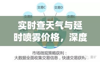 实时查天气与延时喷雾价格,深度解读与真实应用策略