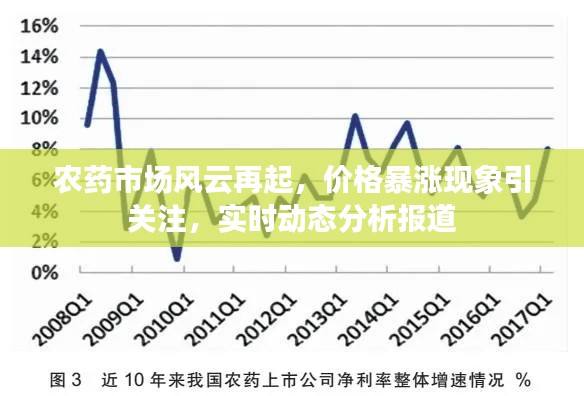 农药市场风云再起,价格暴涨现象引关注,实时动态分析报道
