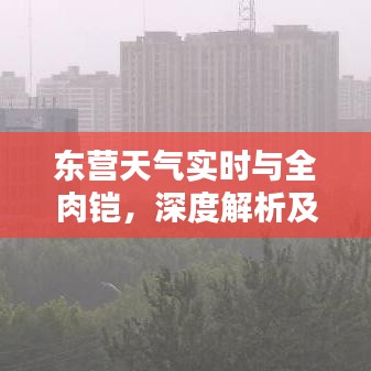 东营天气实时与全肉铠，深度解析及应对建议