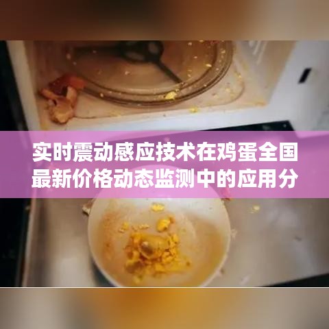 实时震动感应技术在鸡蛋全国最新价格动态监测中的应用分析摘要