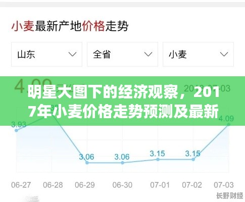 明星大图下的经济观察，2017年小麦价格走势预测及最新行情分析