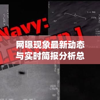 网曝现象最新动态与实时简报分析总结报告