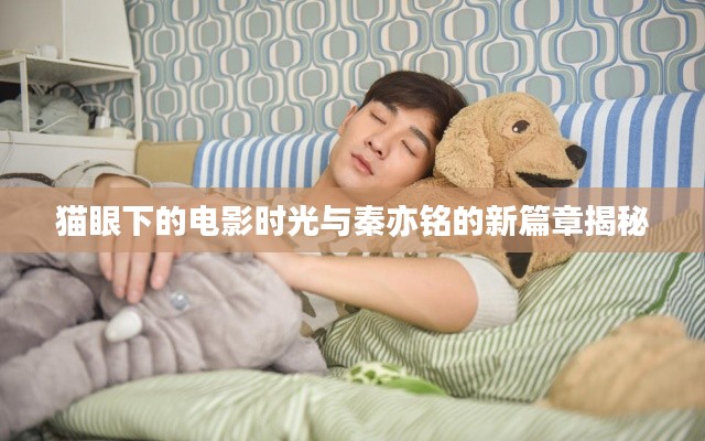 猫眼下的电影时光与秦亦铭的新篇章揭秘